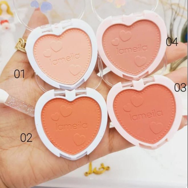 Lameila FT colour powder blush set of 4